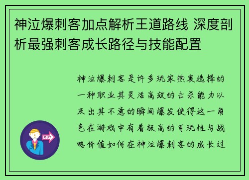 神泣爆刺客加点解析王道路线 深度剖析最强刺客成长路径与技能配置